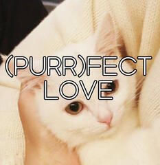 PUSA